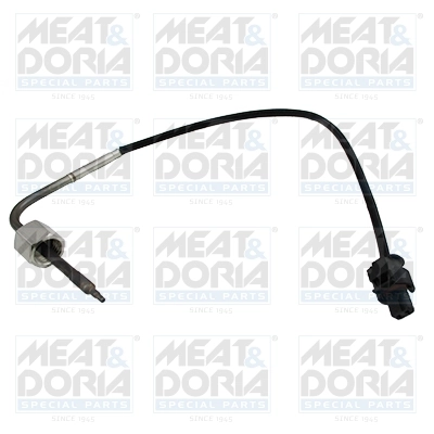 Sensor, exhaust gas temperature